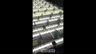 Verschillende soorten glas gelamineerd gaas beschikbaar