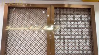 Werkelijke opnamevideo van metalen decoratief gaas